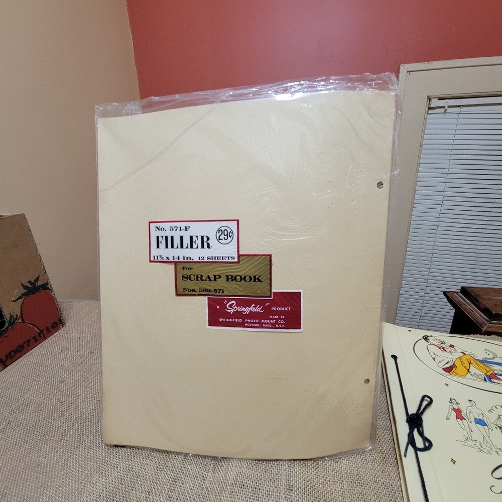 Vtge Scrapbook Filler Paper # 571-F by Springfield, 12 Sheets